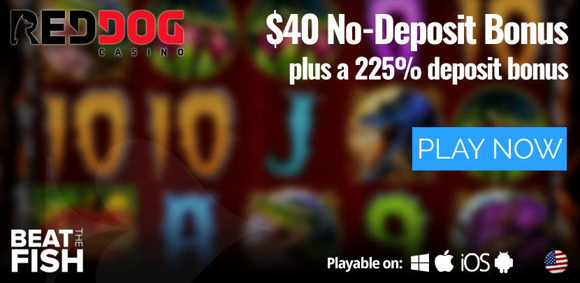 Play Now at Red Dog Casino