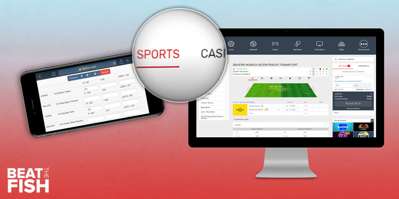 The Best Online Sportsbooks