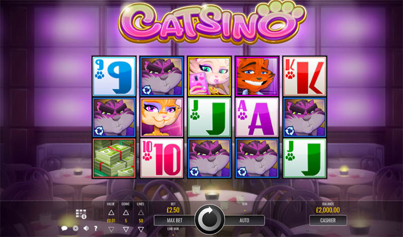 Catsino slot