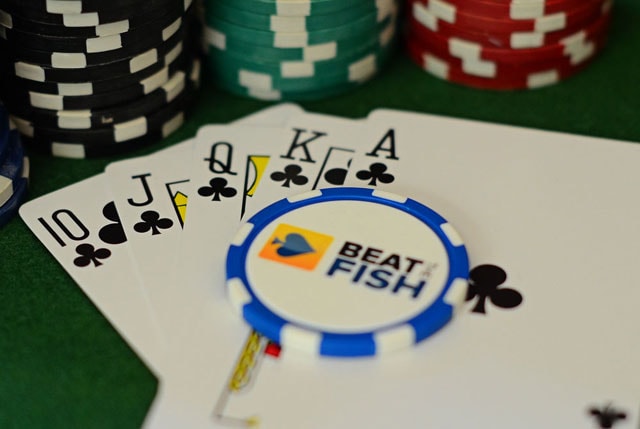 casino-bee.com Poker Photography